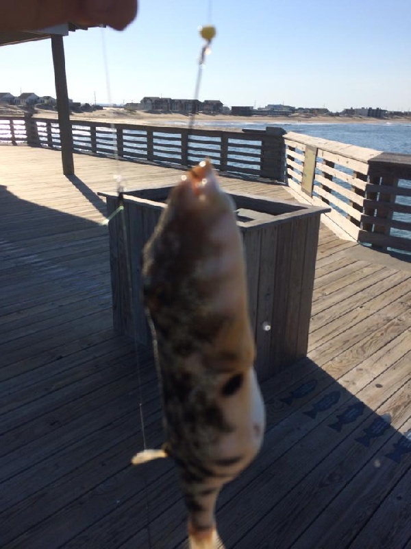 Kitty Hawk fishing photo 0