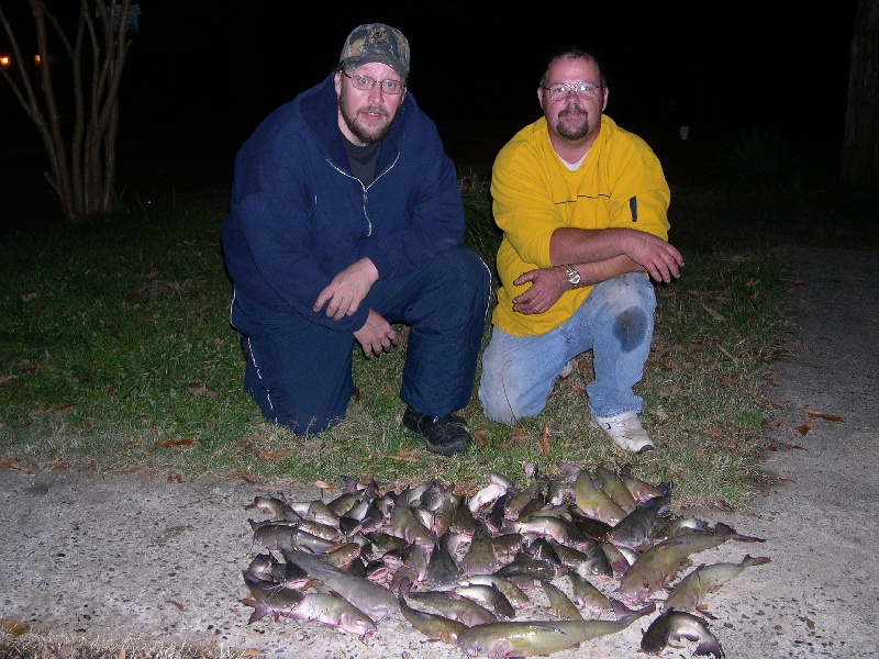 few cats me and my friend, Mike caught