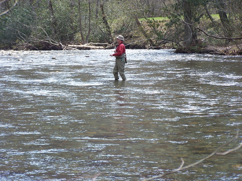 Oconaluftee River, GSMNP near Dillsboro