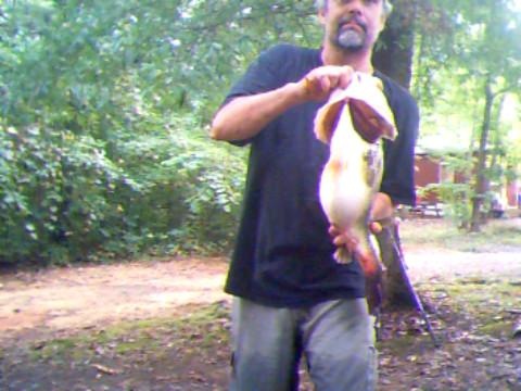 Archdale fishing photo 4